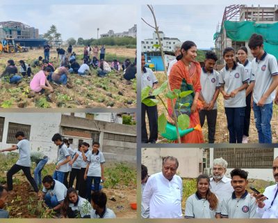 Tree Plantation