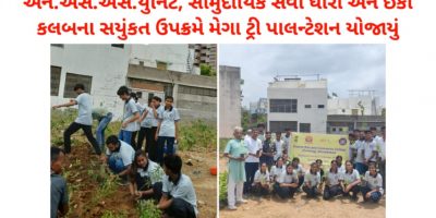 Mega Tree Plantation 2026